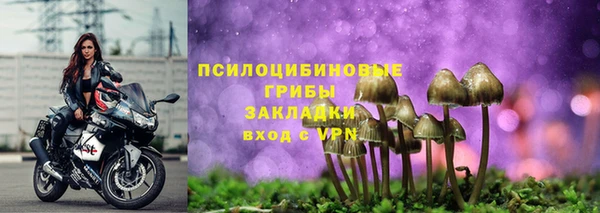 сатива Киренск