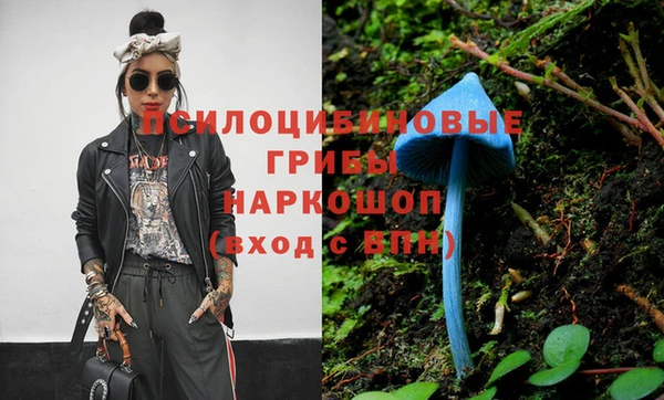 мет Карпинск